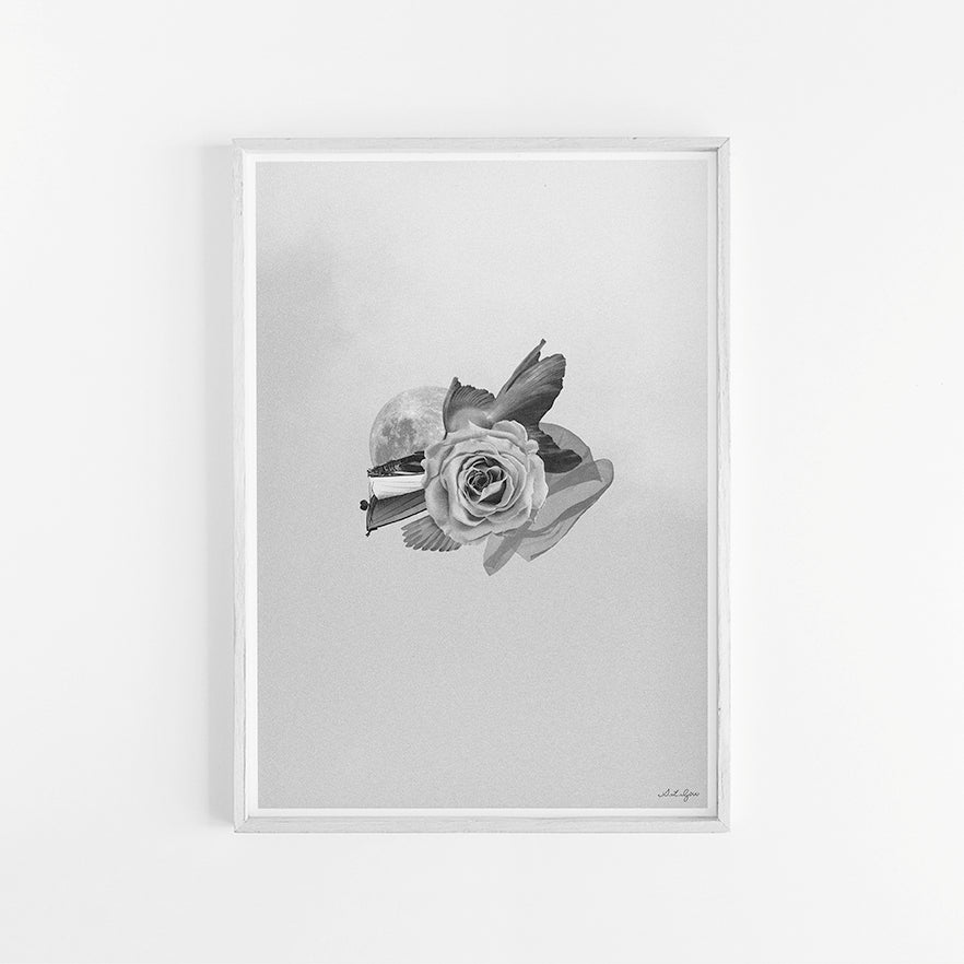 PISCES
