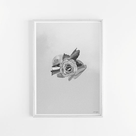 PISCES